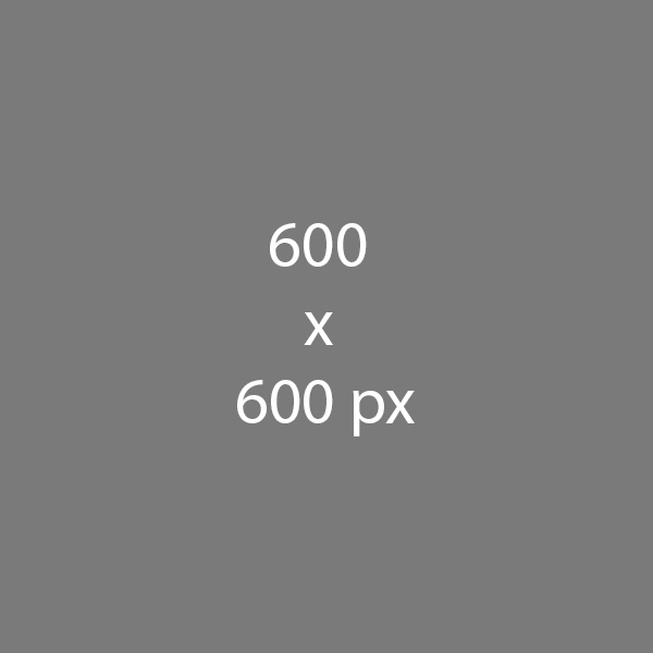 Grey rectangle with white text wich reads'600x600px'