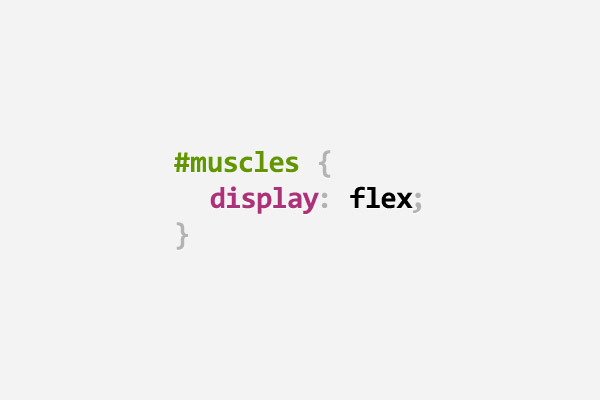 CSS pun